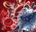 Researchers discover unexpected role for the clock gene in prostate cancer progression