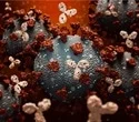 Study reports promising new monoclonal antibody against SARS-CoV-2’s spike protein